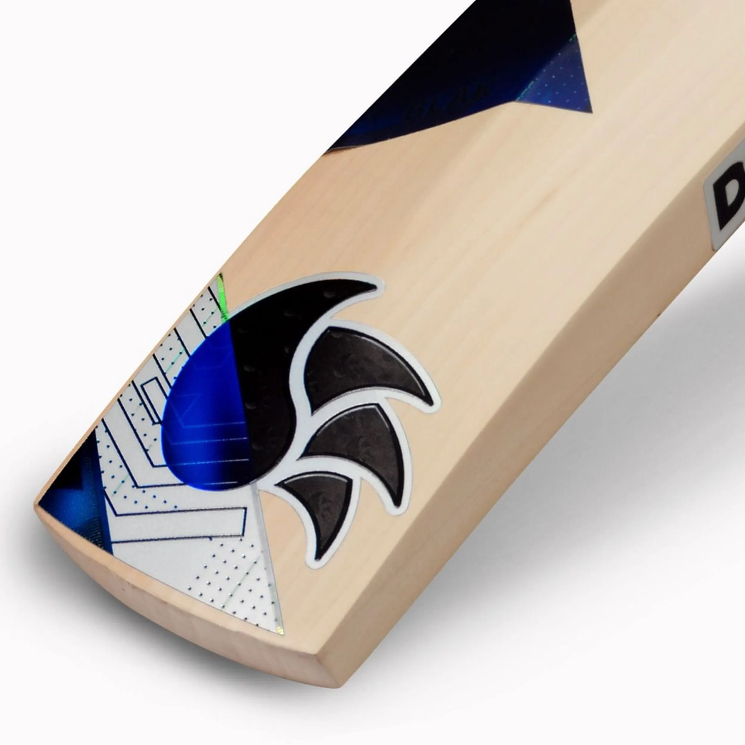DSC BLAK 200 English Willow Cricket Bat -SH