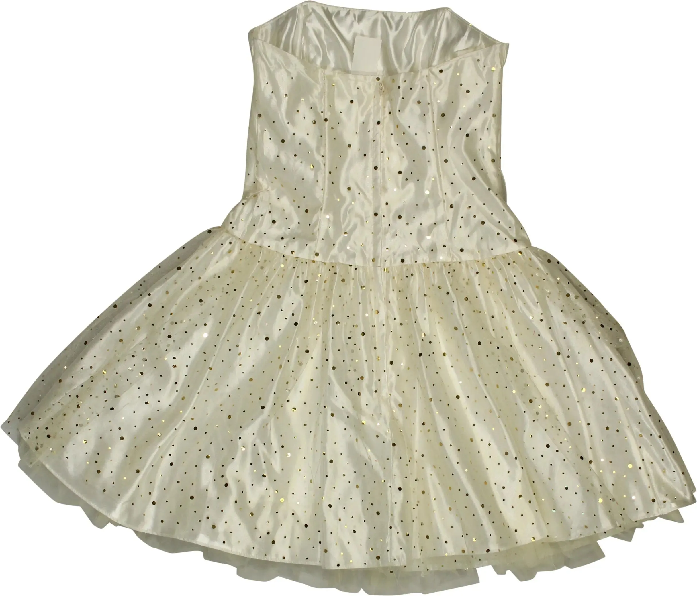 Glitter Dress | ThriftTale