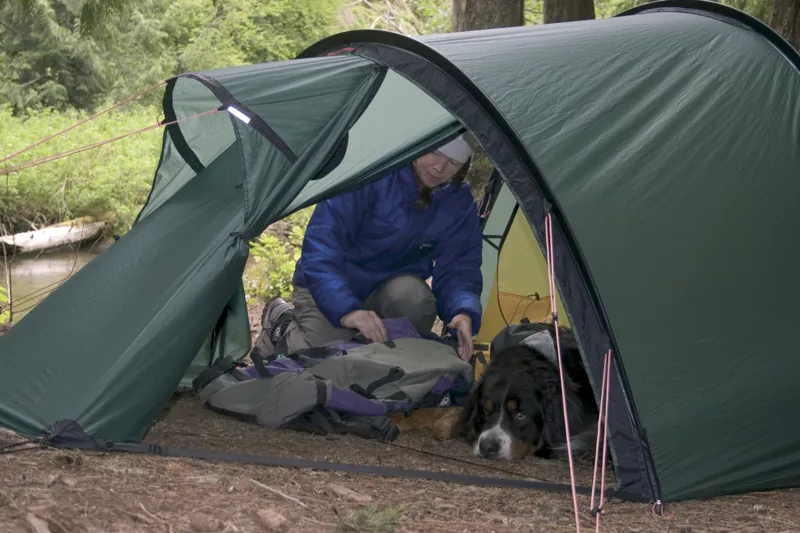 Hilleberg Nallo 2 GT Tent - Sand